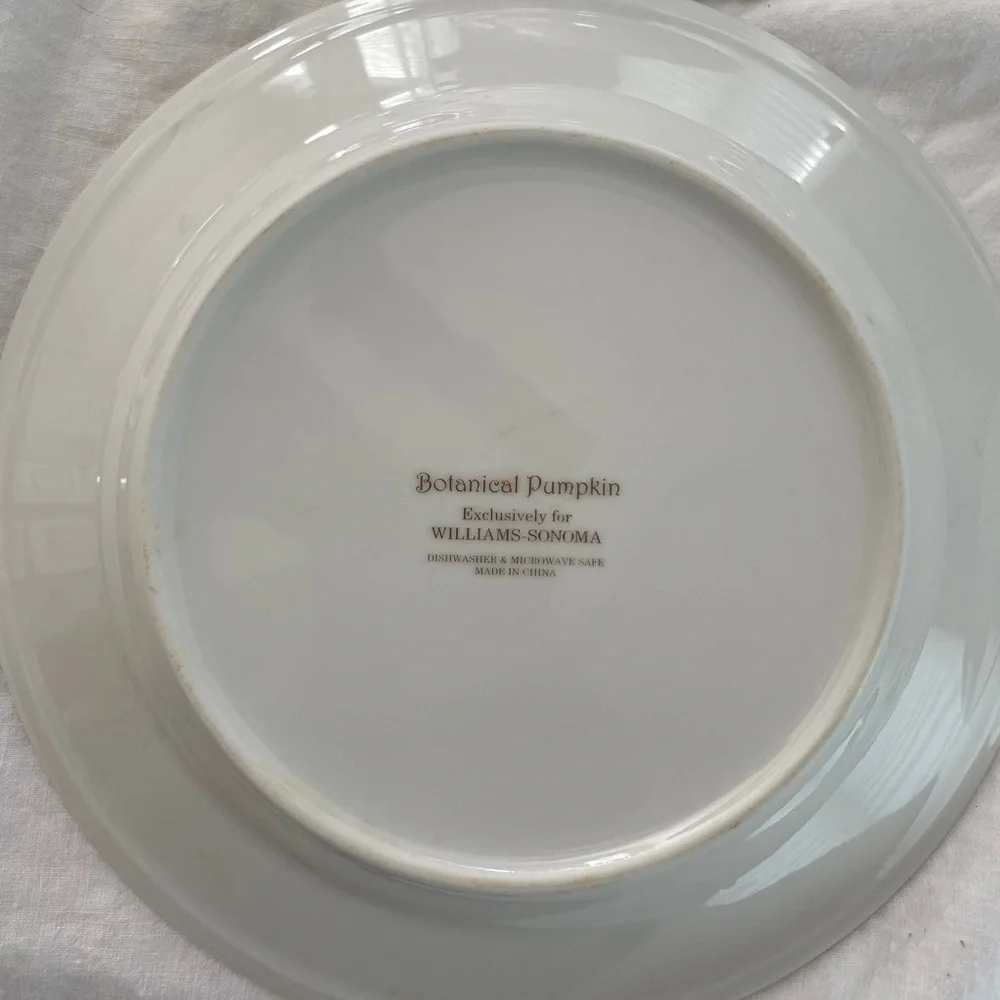 Williams Sonoma Botanical Pumpkin Salad Dessert Plates 8.5” diameter (Set of 4)